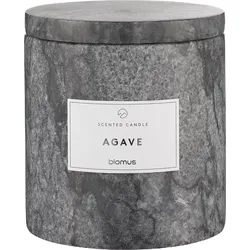 Frabli Agave Duftkerze 11 cm magnet