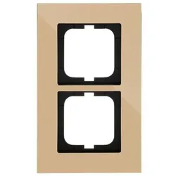 Busch-Jaeger Rahmen 2-fach 1722-823-101