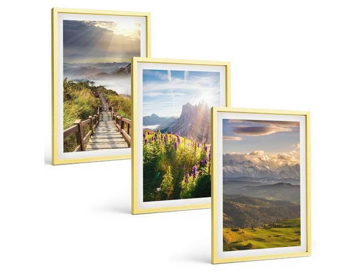 BILDER SET 3er Set - 40x60 cm Goldrahmen - Berglandschaft mit Blumen