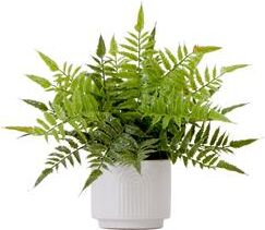 Nearly Natural "13"" Artificial Boston Fern Plant with Decorative Planter"