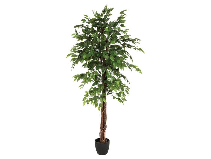 Atmosphera Createur d´interieur Ficus im Topf 97/86/185 cm, Grün, Kunststoff, 185 cm, Dekoration, Blumen & Blumentöpfe, Kunstblumen