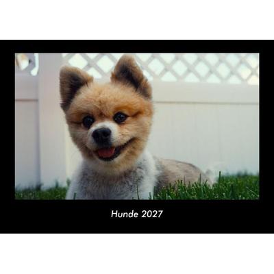 Hunde 2027 Fotokalender DIN A3