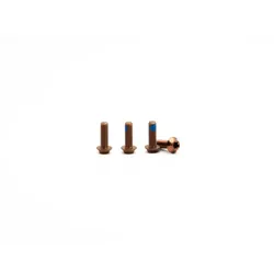 OAK COMPONENTS Schrauben Titan für Flaschenhalter M5 x 15 mm | 4 Stü