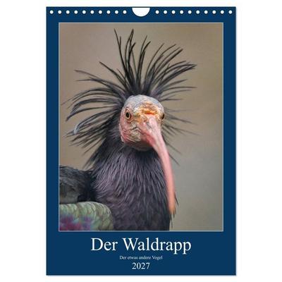 Der Waldrapp - Der etwas andere Vogel (Wandkalender 2027 DIN A4 hoch), CALVENDO Monatskalender
