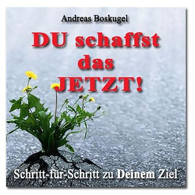 DU schaffst das JETZT! - Andreas Boskugel, Audio, 9783957540256