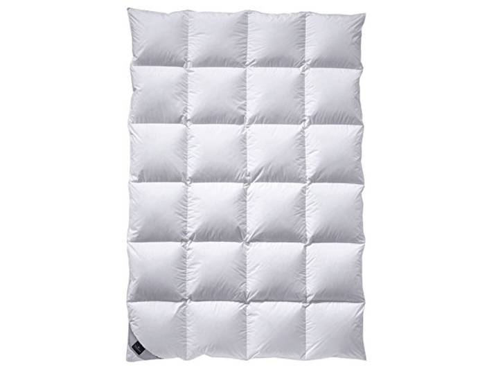 Billerbeck Daunendecke 308 Ambiente Kassette II - Neue Weißgansdaue, 100% Daune (200 x 200 cm)