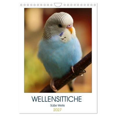 WELLENSITTICHE - Süße Wellis (Wandkalender 2027 DIN A4 hoch), CALVENDO Monatskalender