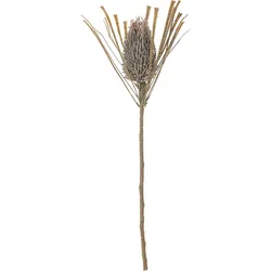 Bloomingville Kunstblume Zierdistel braun