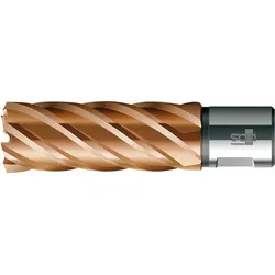 BDS, Lochsäge, Kernbohrer HSSVarioPLUS 16,0mm Schnitttiefe 55mm Weldon-Aufnahme