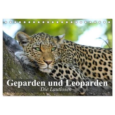 Die Lautlosen. Geparden und Leoparden (Tischkalender 2027 DIN A5 quer), CALVENDO Monatskalender