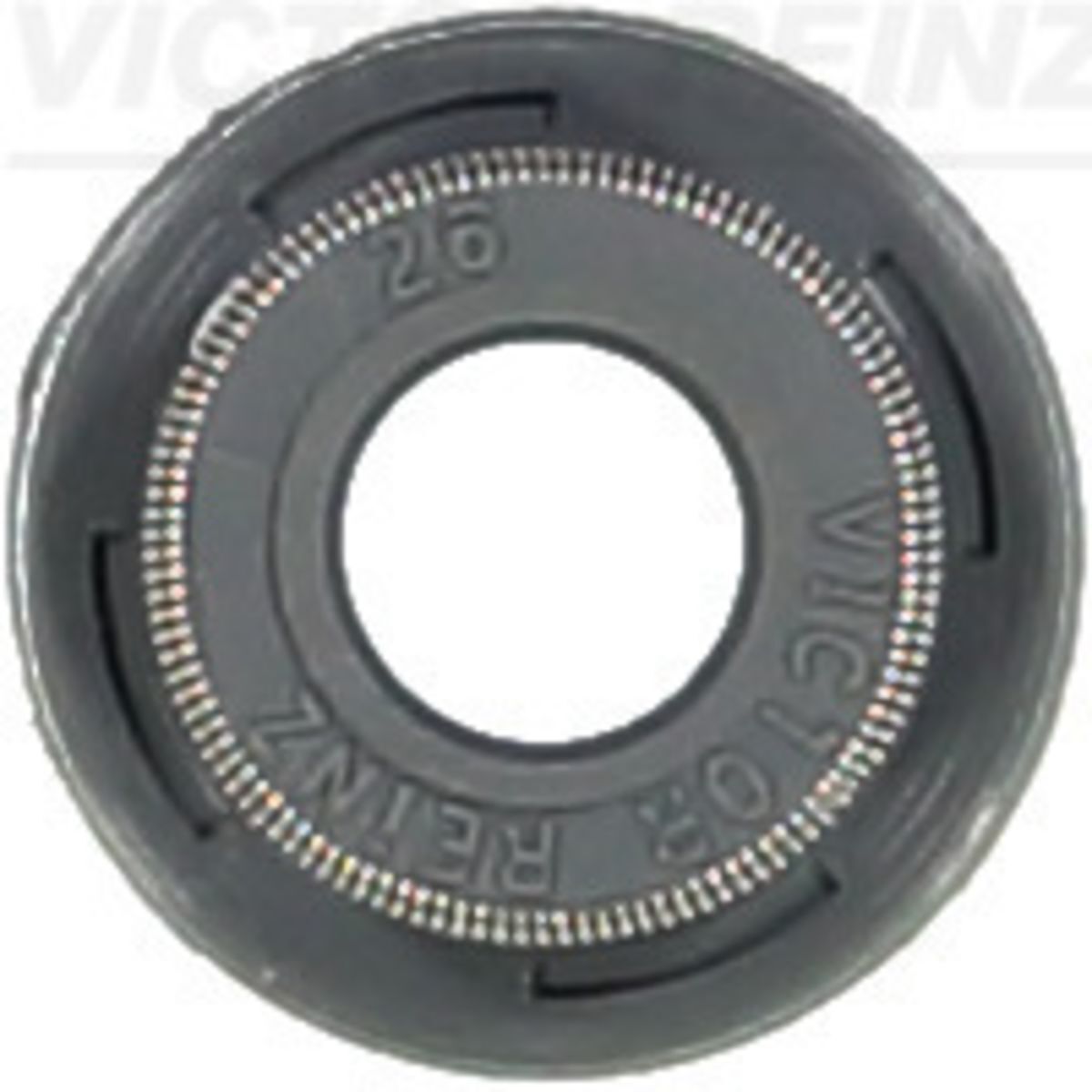 Victor Reinz Dichtring, Ventilschaft REINZ 70-54169-00