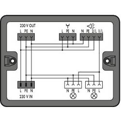 WAGO 899-631/180-000 Verteiler-Box 899 25 A Schwarz 1 St.