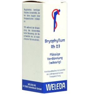 Bryophyllum RH D 3 Dilution 20 ml