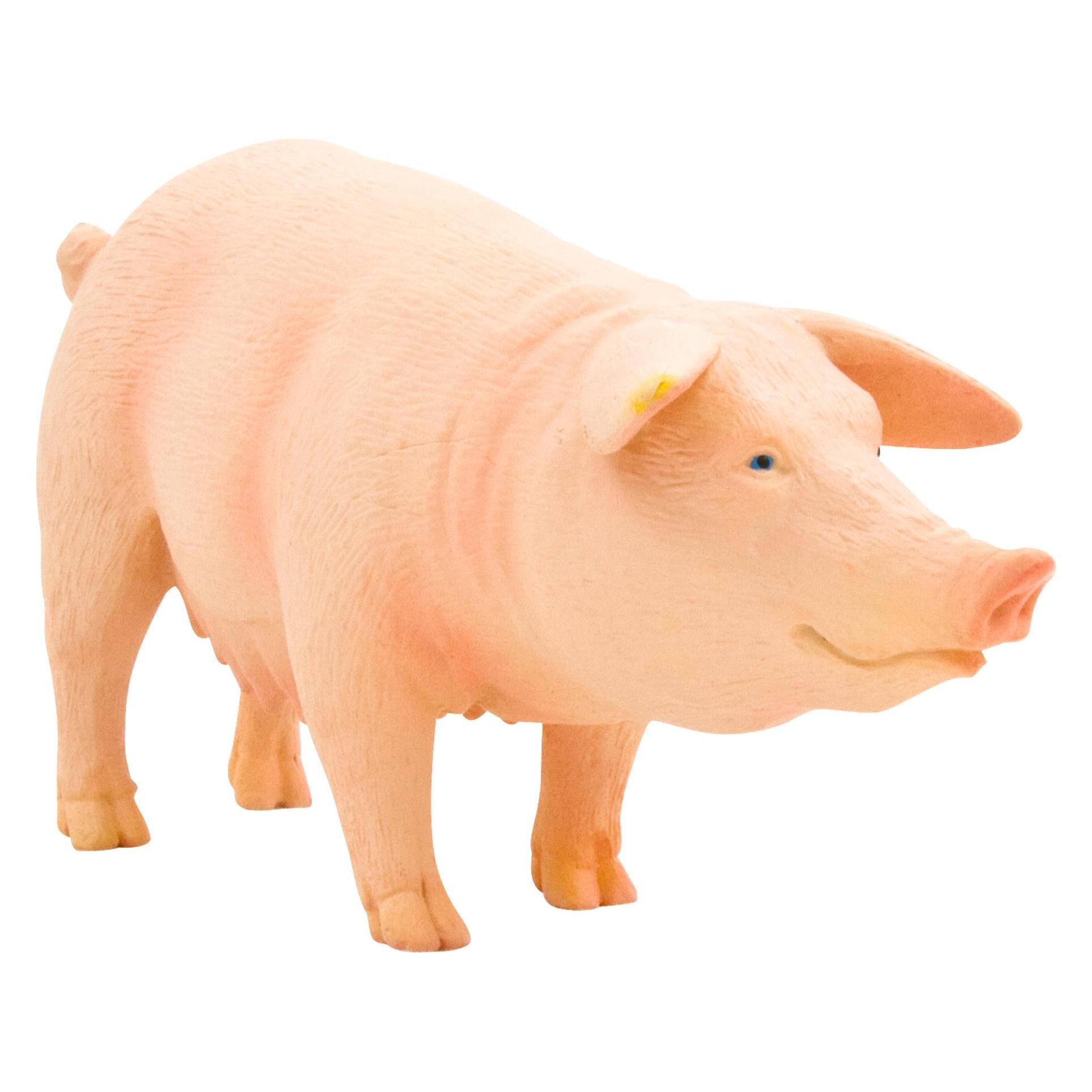 Mojo Schwein (387054)