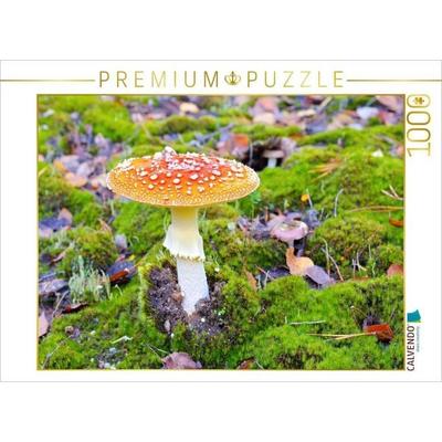 CALVENDO Puzzle Fliegenpilz | 1000 Teile Lege-Größe 64x48cm Foto-Puzzle für glückliche Stunden
