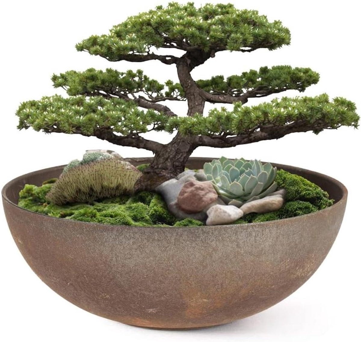 Decoratieve schaal Bloempot Plantenbak met roestlook afwerking - Bruin - Diameter: 19 cm