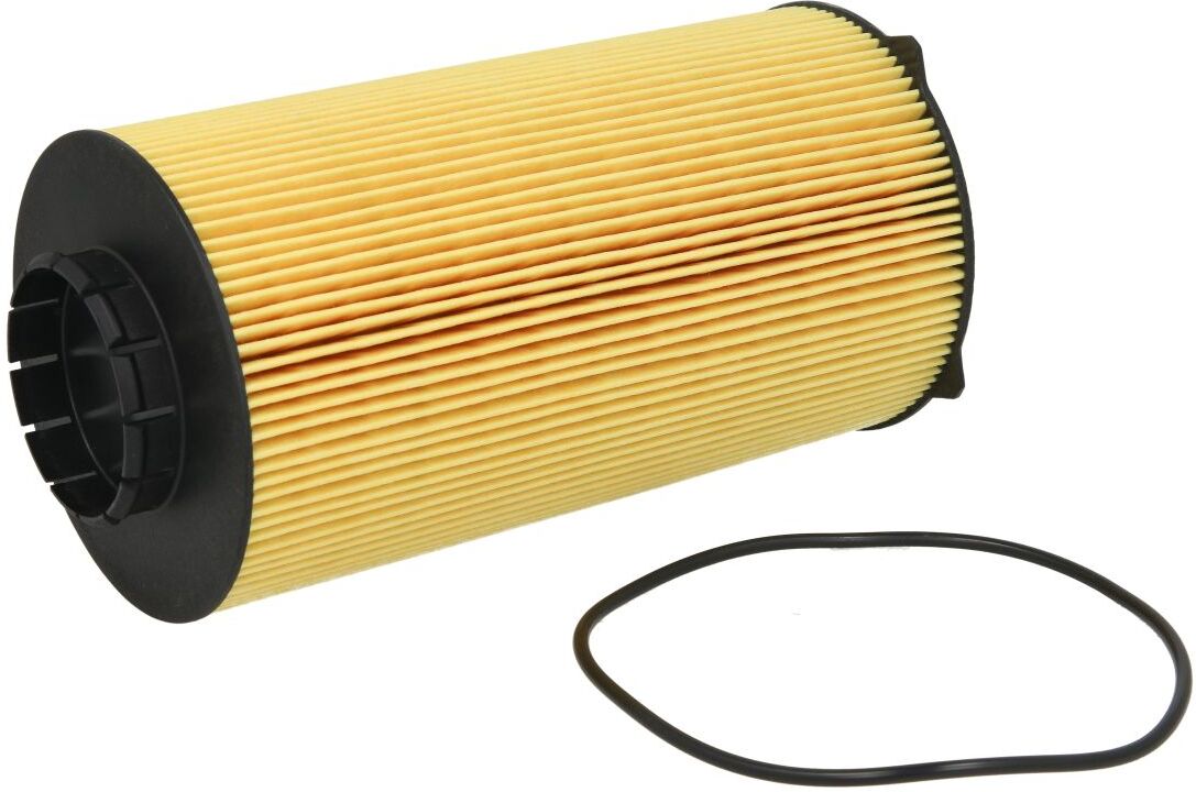 Hengst Filtration Filtro olio E213H D300