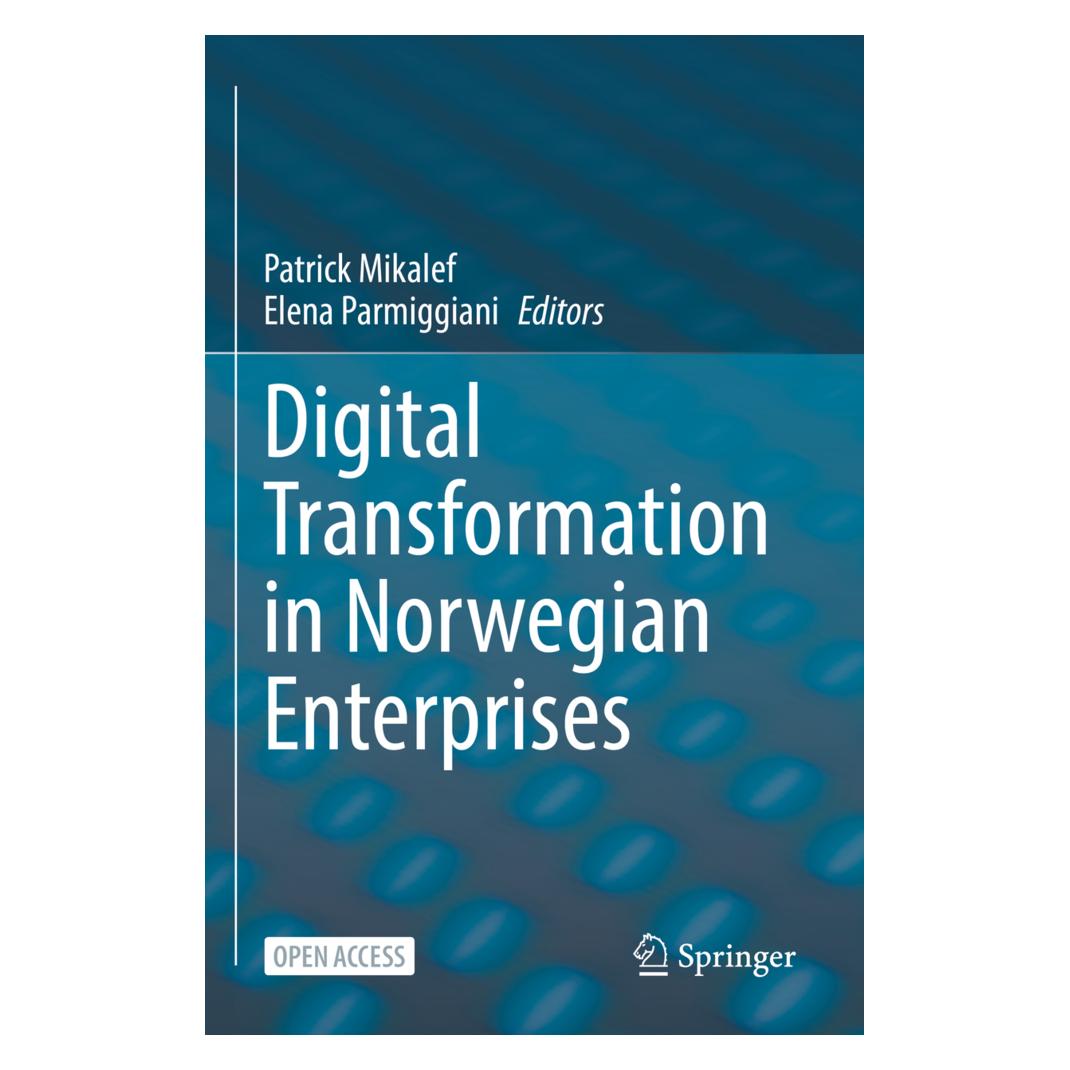 Springer Digital Transformation in Norwegian Enterprises (Englisch, Softcover, Elena Parmiggiani, Patrick Mikalef) (56836542)