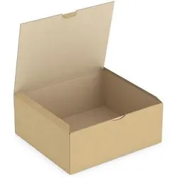 Rajapack, Versandkarton + Versandbox, Raja Versandkarton 1-wellig Pappe 230 (B) x 90 (T) x 344 (H) mm Braun (50 Stk.)