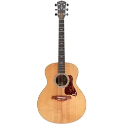 Taylor Gold Label 814e - Westerngitarre