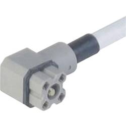 Steckverbinder für Steuerspannung der G-Serie Grau G 4 KW 1 F 2M Pole:4 931 805-602-100 Hirschmann Inhalt: 100 St.