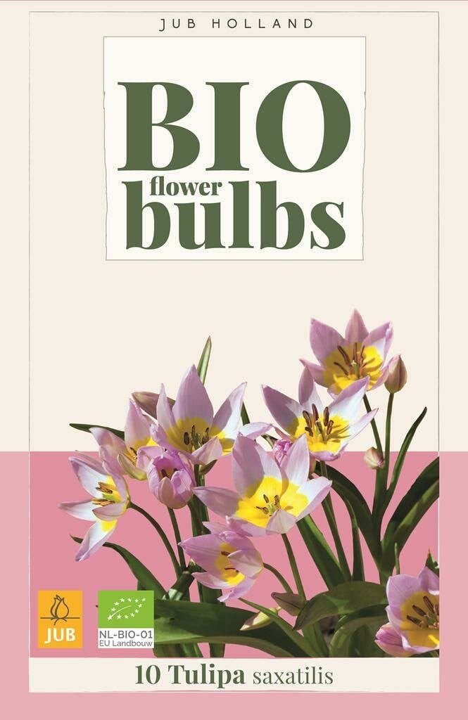 Bio tulp saxatilis Jub 10 bollen