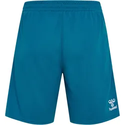 hummel 1. FC Köln Torwartshorts 2023/24 8745 - celestial S