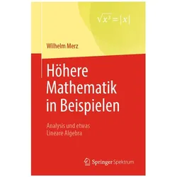 Höhere Mathematik in Beispielen, Schulbücher von Wilhelm Merz