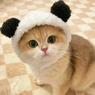 Uplift Essentials Adorable Lion Mane Pet Transformation Cap panda