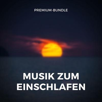 Musik zum Einschlafen - Robert A. Hayworth, Audio, 4064066740443