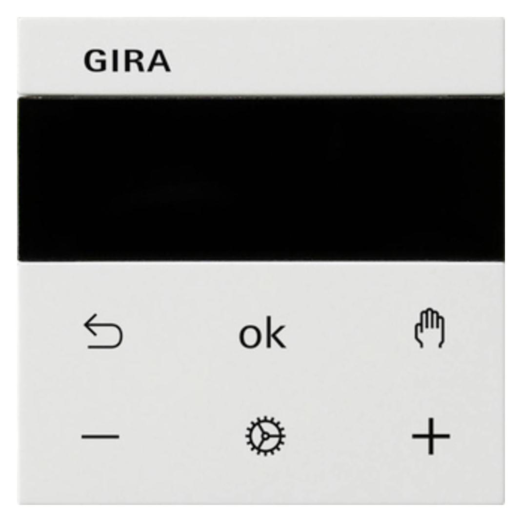 Gira 539327 S3000 RTR Display System 55 (539327)