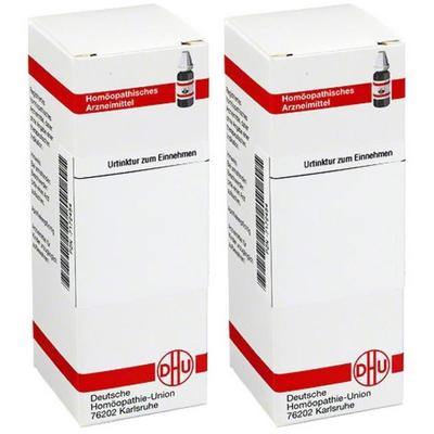 Cardiospermum Urtinktur 2x 2x20 ml Dilution