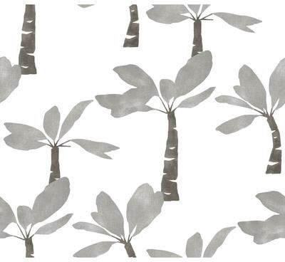 York Wallcoverings Painted Oasis Carbon and Graphite Wallpaper