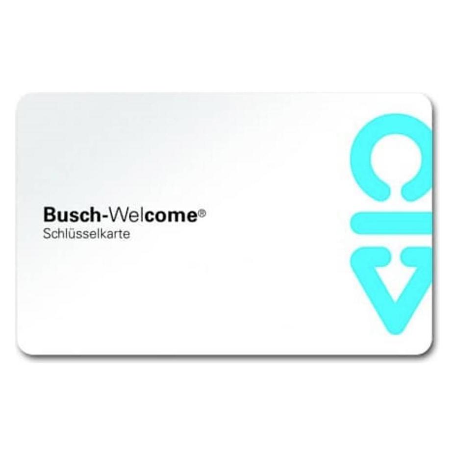 Busch-Jaeger Welcome Zubehör Schlüsselkarte 83173 (2CKA008300A0372)