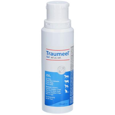 Traumeel Gel ad us.vet. 250 g