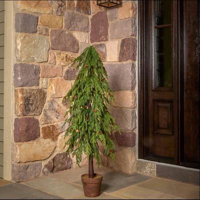 Regency International "48"" Uv Potted Soft Touch Norfolk Pine Tree"
