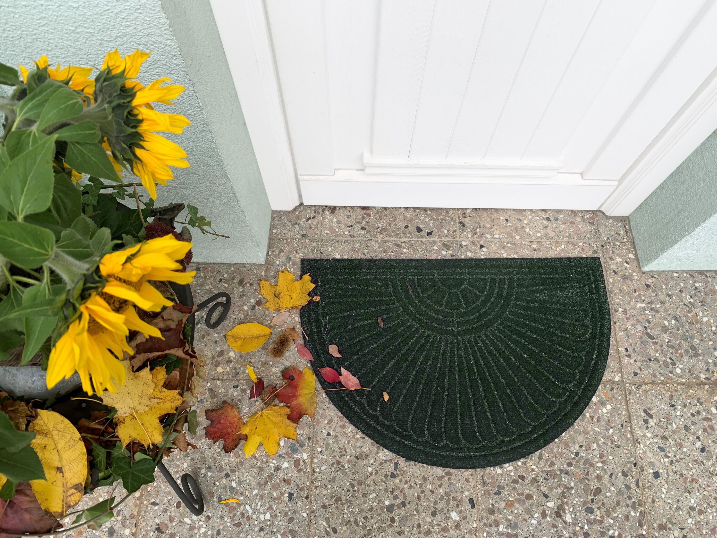 Fussmatte "Halfmoon midnight green", grün, B:55cm H:8mm L:85cm, Polyester, WASH+DRY BY KLEEN-TEX, Teppiche, Fussmatte grün B : 55cm 1 Stk., 8mm, L: 85cm