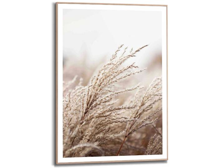 Kunstdruck REINDERS Gras , beige (farbe bild(er): beige), B:50cm H:70cm T:1,6cm, MDF, Bilder, Kunstdruck