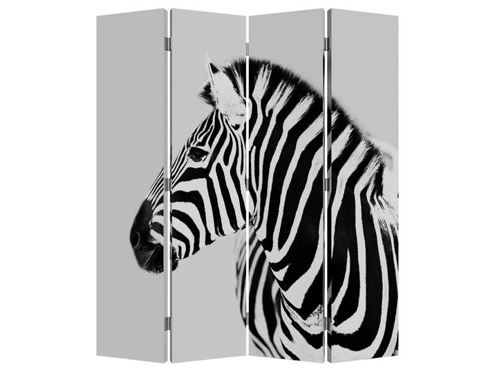 Paravent Safari Wendemotiv image LAND / Grösse: 180 x 160 cm