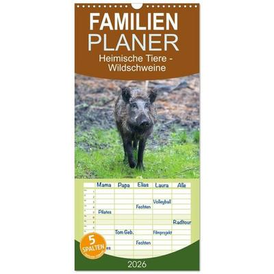 Familienplaner 2026 - Heimische Tiere - Wildschweine mit 5 Spalten (Wandkalender, 21 x 45 cm) CALVENDO