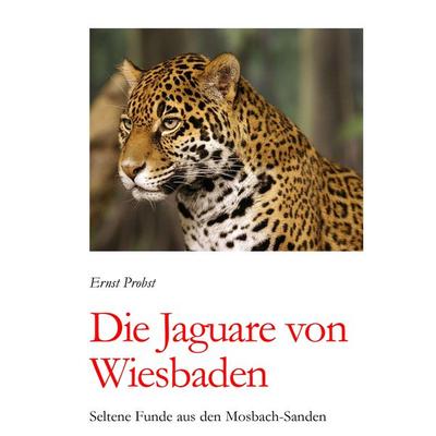 Die Jaguare von Wiesbaden, Gebundene Ausgabe von Ernst Probst, Tredition, 978-3-384-50530-9