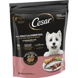 Cesar Huhn & Lachs 5x1 kg