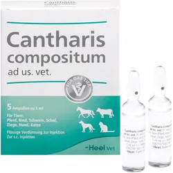 Cantharis Comp Vet 5 ST