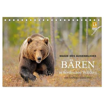 Magie des Augenblicks - Bären in nordischen Wäldern (Tischkalender 2026 DIN A5 quer), CALVENDO Monatskalender