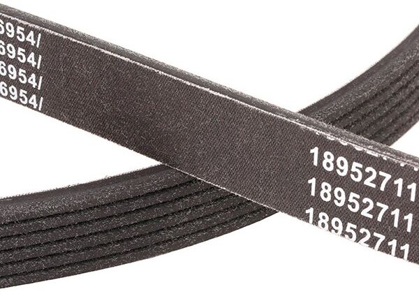 RIDEX PLUS 305P0250P Multiriem
