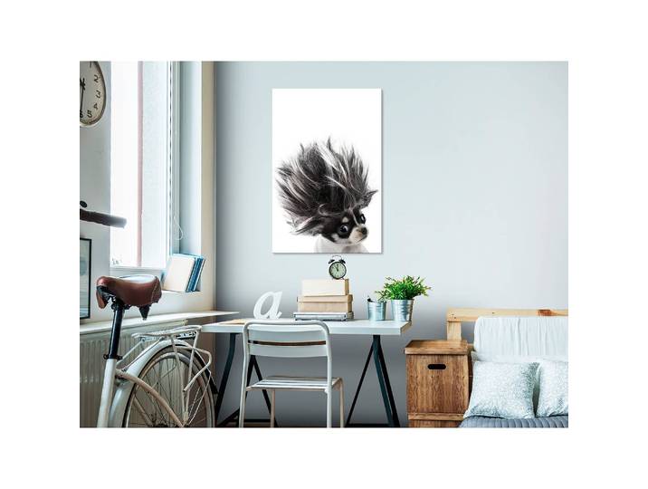 Tableau déco Chihuahua Lin Blanc 40 x 60cm