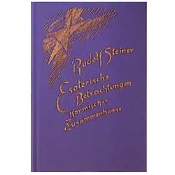 Esoterische Betrachtungen karmischer Zusammenhänge. Bd.6, Sachbücher von Rudolf Steiner