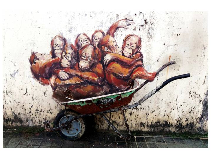 Alubild Street Art mit Orang-Utans image LAND