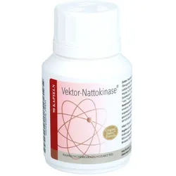 VEKTOR Nattokinase Kapseln