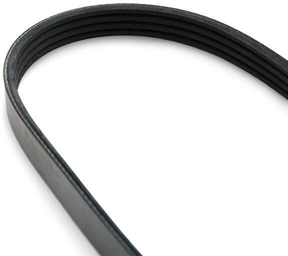 MEYLE 050 004 0698 Serpentine belt